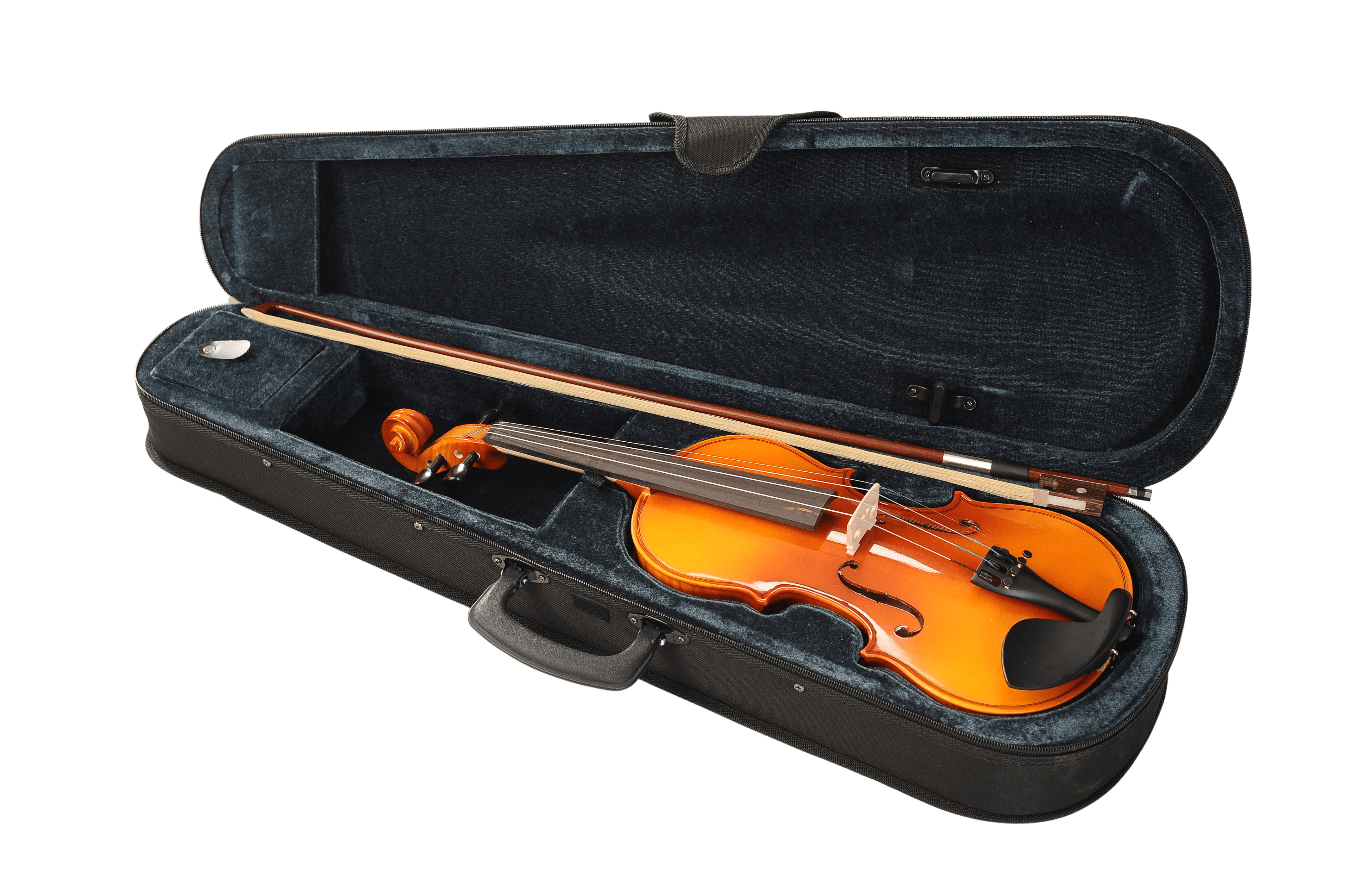 Violins Havana
